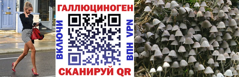 Псилоцибиновые грибы Magic Shrooms  даркнет сайт  Бежецк 