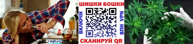mega как войти  Бежецк  Шишки марихуана планчик 